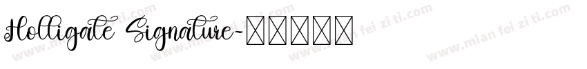 Holligate Signature字体转换